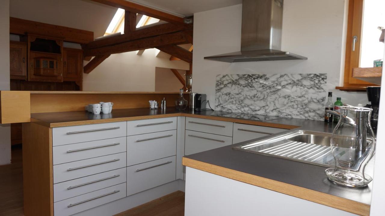 Aussergewoehnliches Loft Am Pfaenderhang Mit Seeblick Apartment *