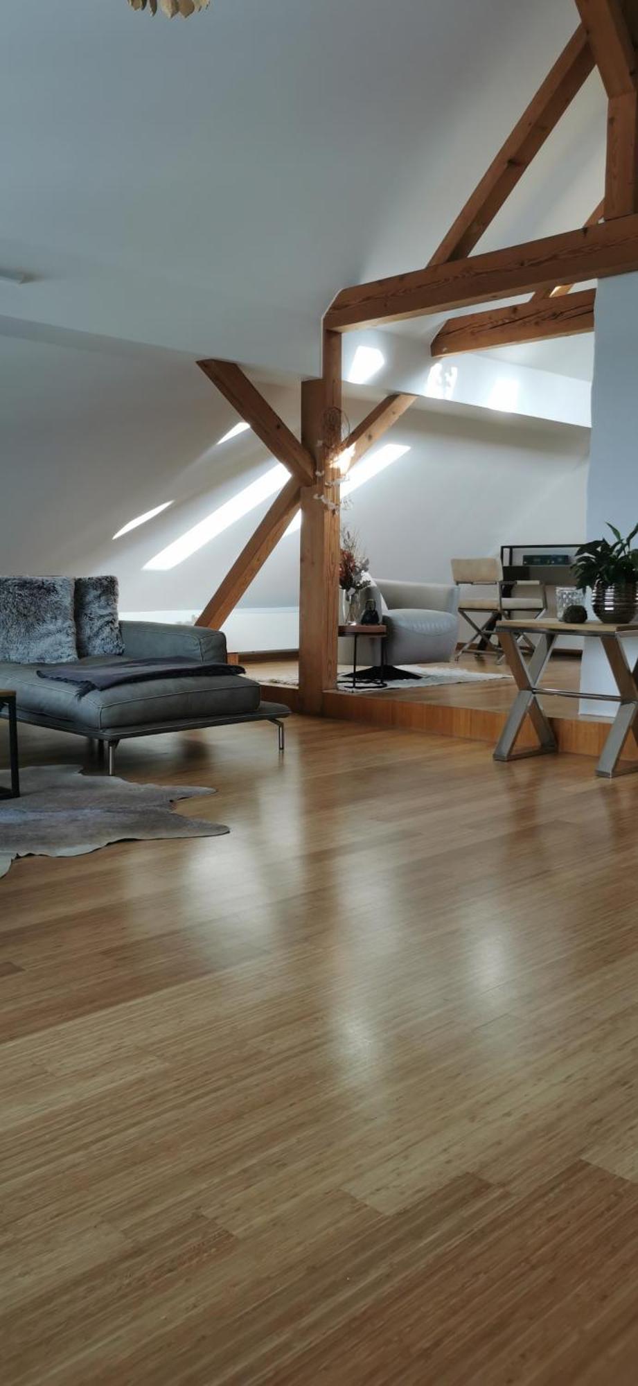 Aussergewoehnliches Loft Am Pfaenderhang Mit Seeblick *